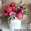 kwiaciarnia86_czestochowa-flower-box-6